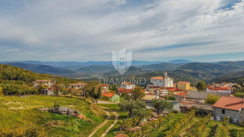 Vižinada, kuća sa 5 apartmana i otvorenim pogledom