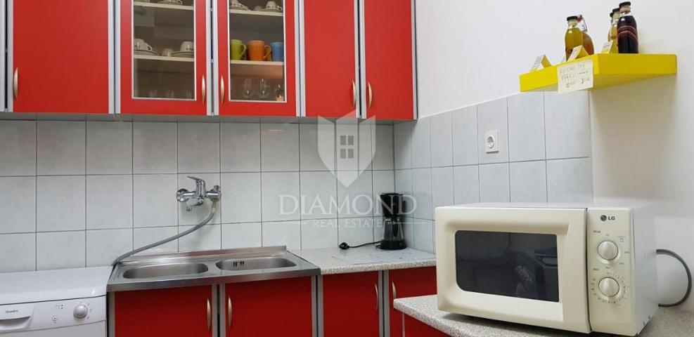 Žminj, surroundings, property with a well-established rental business