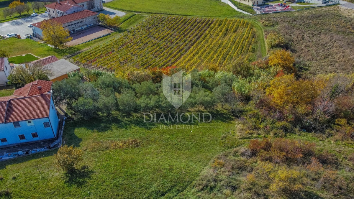 Vižinada, građevinsko zemljište sa otvorenim pogledom