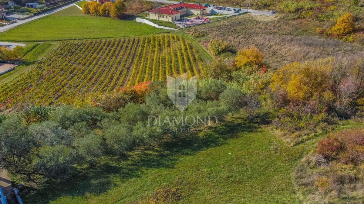 Vižinada, građevinsko zemljište sa otvorenim pogledom