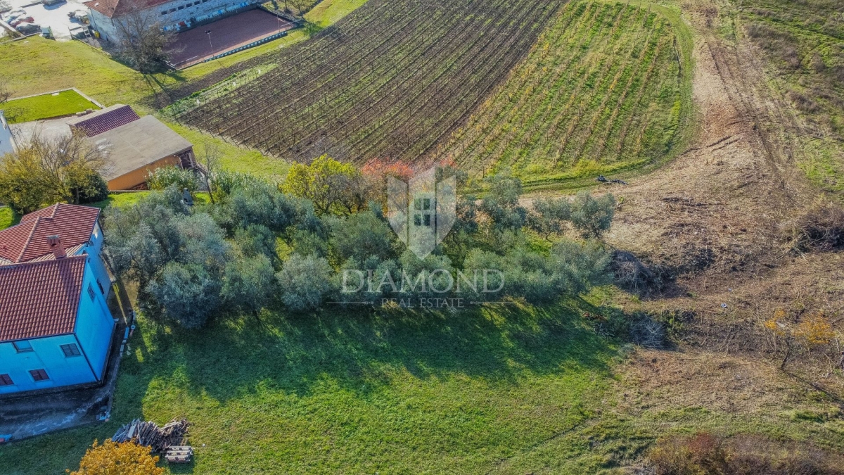 Vižinada, građevinsko zemljište sa otvorenim pogledom