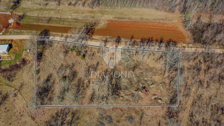 Baugrundstück in ruhiger Lage in der Nähe von Grožnjan