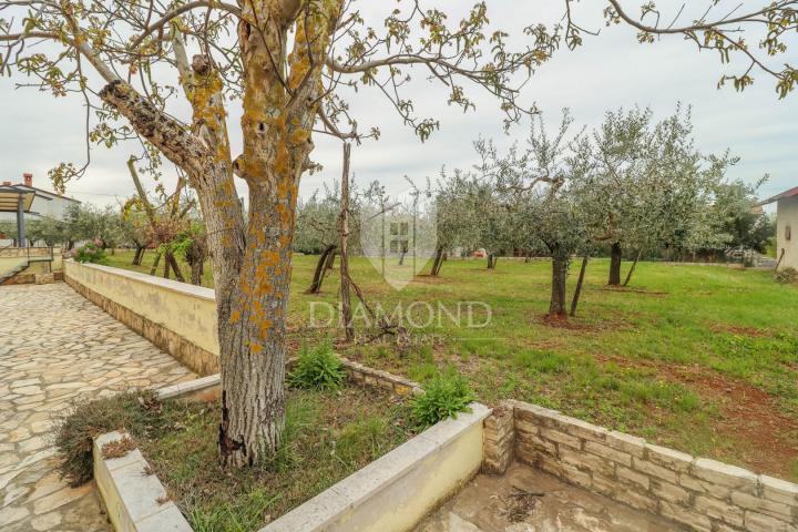 Porepč, surroundings of houses with large garden and sea view