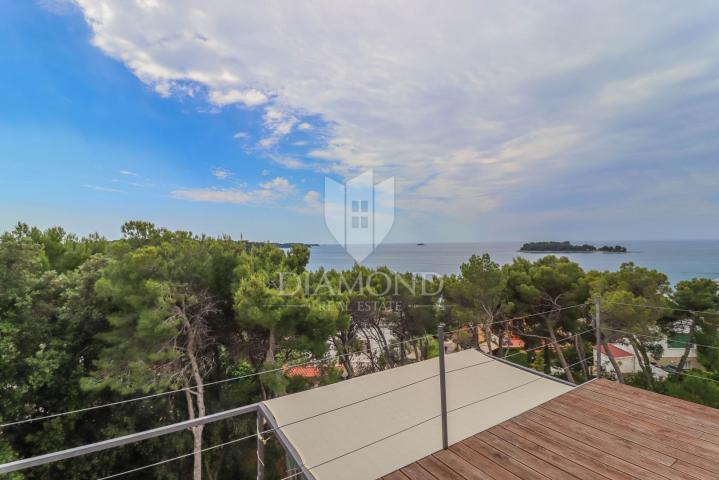 Rovinj, surroundings, attractive villa in a top location