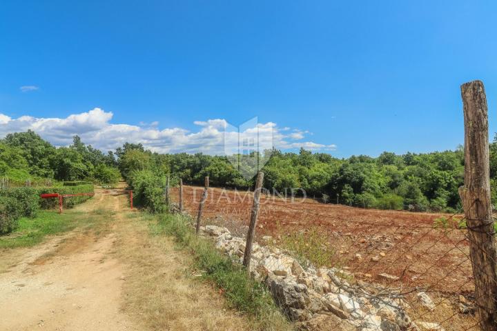 Poreč, okolica, prostrano građevinsko zemljište!