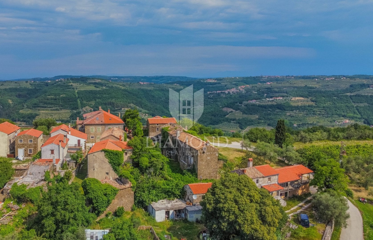 Momjan okolica, kompleks autohtonih istarskih kuća za adaptaciju