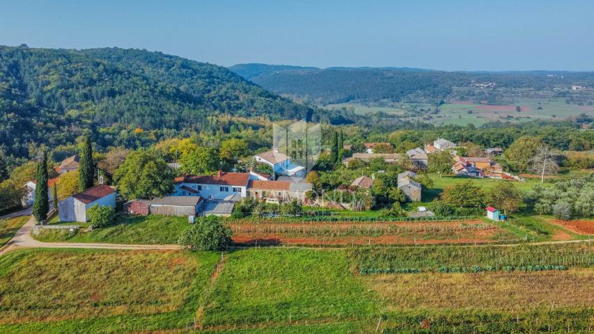 Oprtalj okolica, prostrano građevinsko zemljište na mirnoj lokaciji