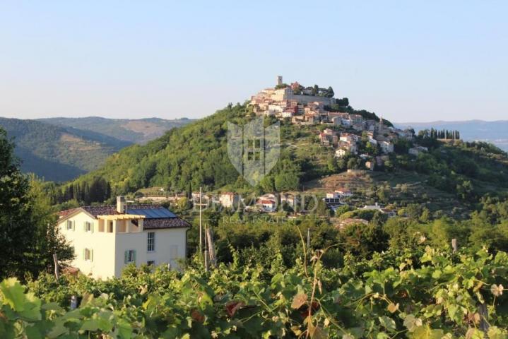 Motovun, prekrasna Villa sa očaravajućim pogledom