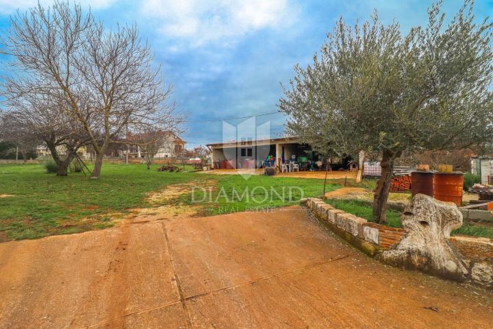 Poreč, surroundings, house with a spacious building plot!