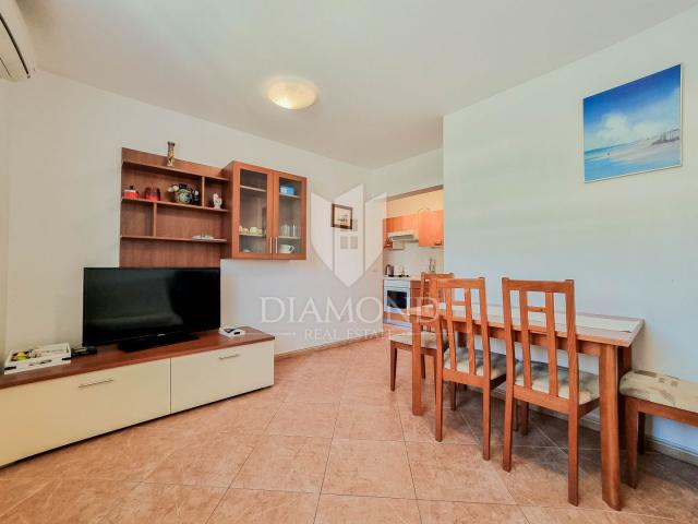 Novigrad, apartment in a great location with a sea view!