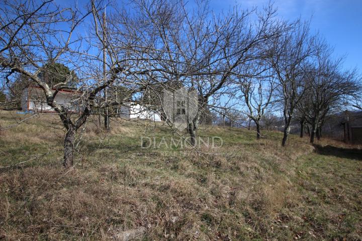 Cerovlje, okolica, zemljište sa starinom okruženo prirodom