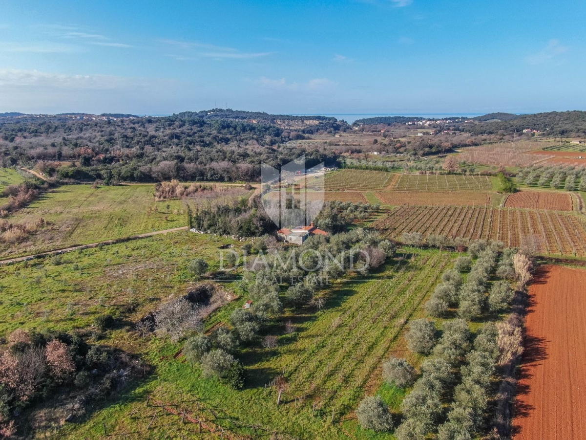 Rovinj, cultivated land with a legalized house