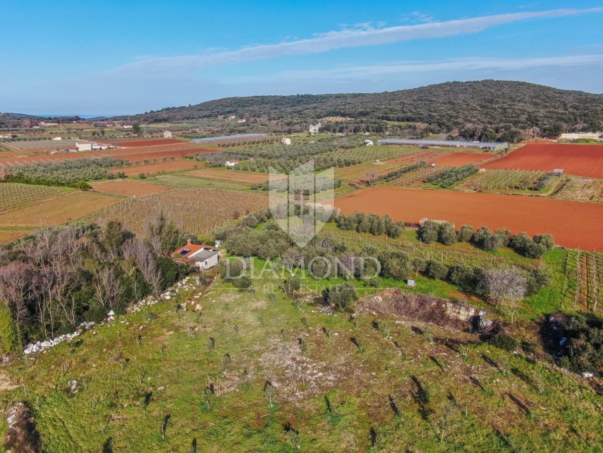 Rovinj, cultivated land with a legalized house