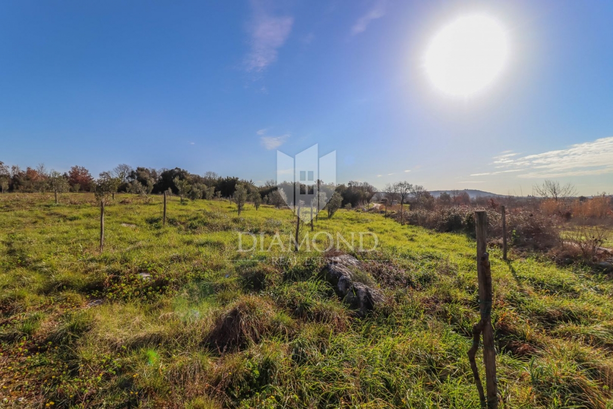 Rovinj, cultivated land with a legalized house