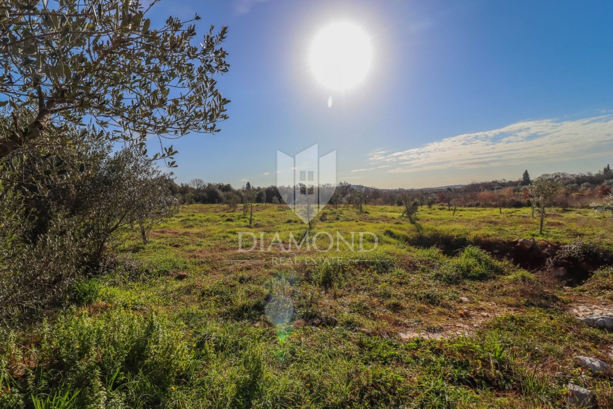 Rovinj, cultivated land with a legalized house