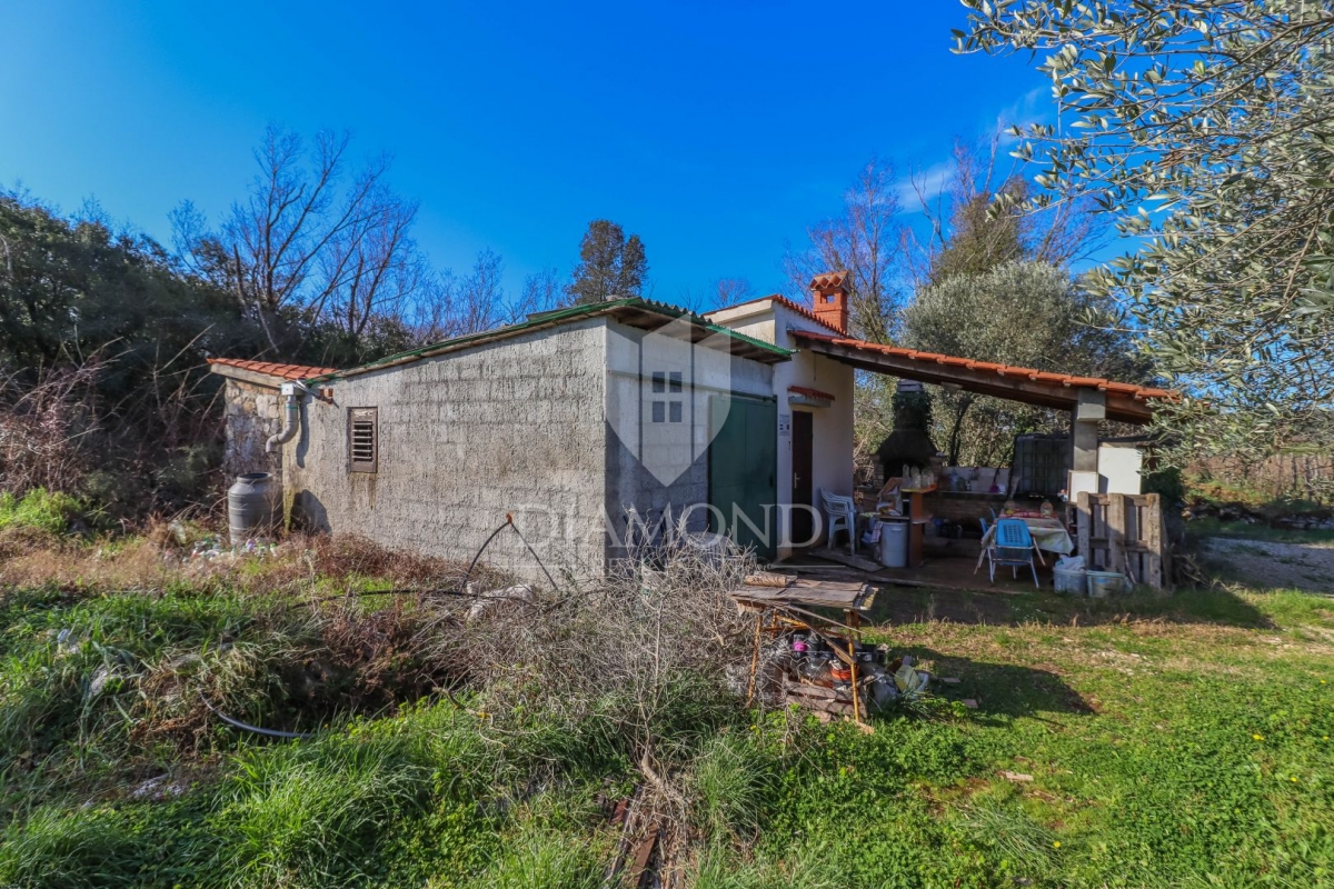 Rovinj, cultivated land with a legalized house