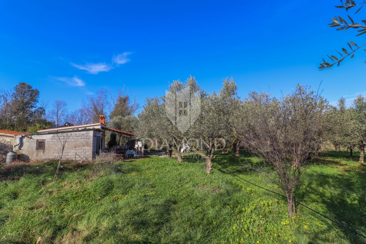 Rovinj, cultivated land with a legalized house