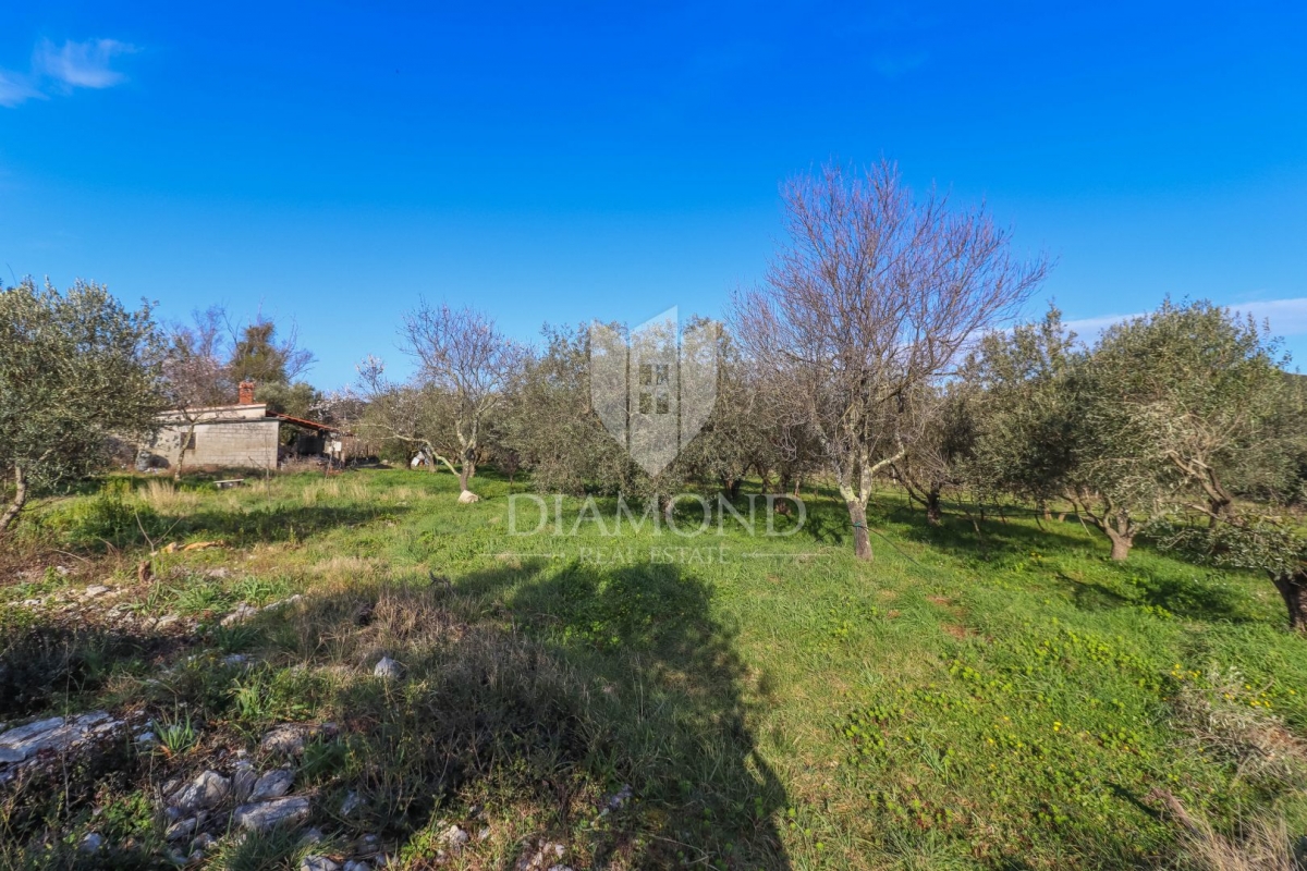 Rovinj, cultivated land with a legalized house