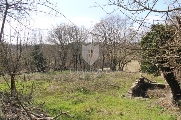 Central Istria, surroundings, house for adaptation with a spacious plot