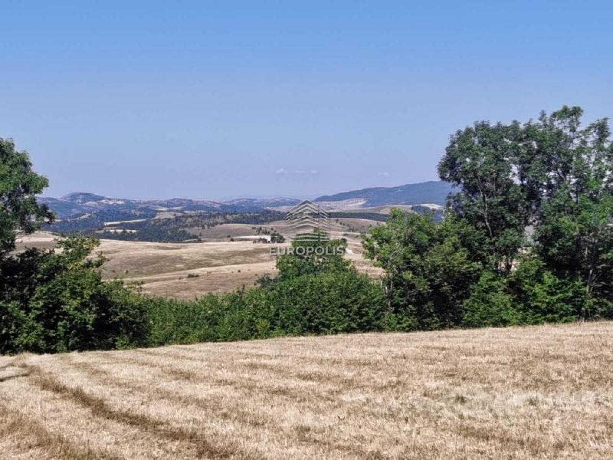 Branešci, Zlatibor ID#2774