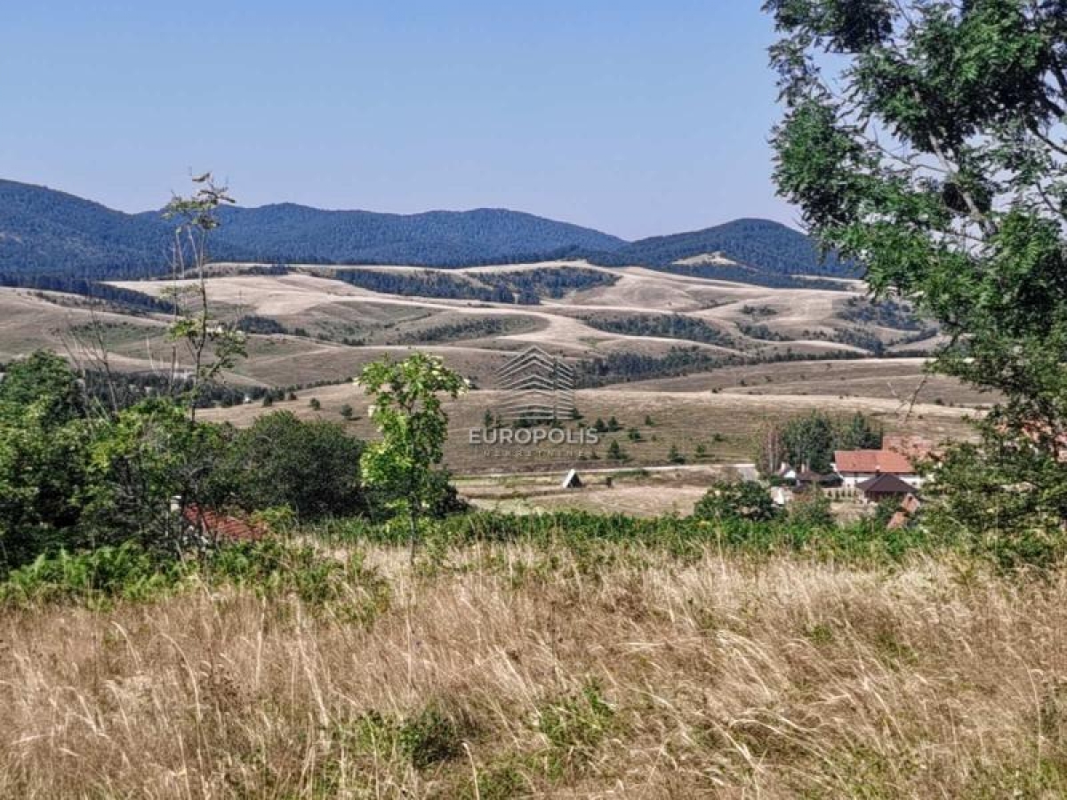 Branešci, Zlatibor ID#2774