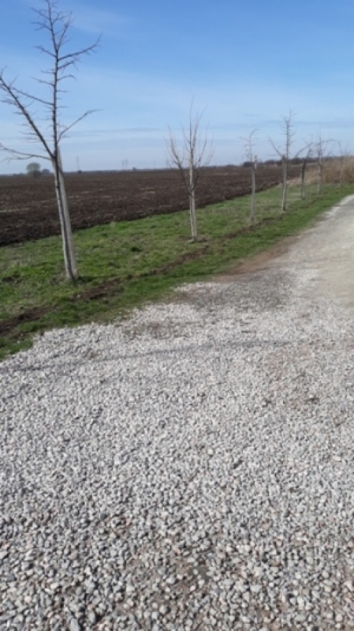 ZEMUN PLAVI  HORIZONTI 10270m2 , 102, 70a , 918000e