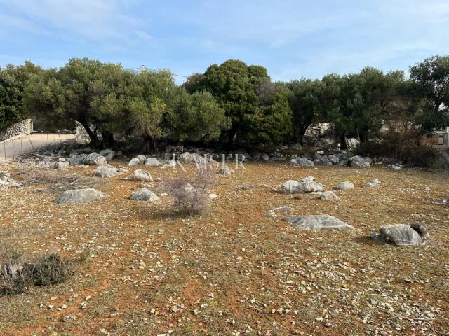 Otok Pag, Lun - jedinstveno građevinsko zemljište sa maslinikom 