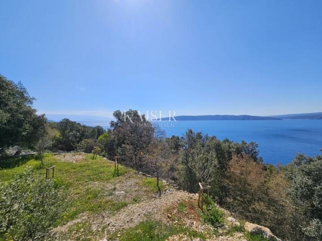 Insel Krk - Ackerland 1. Reihe zum Meer