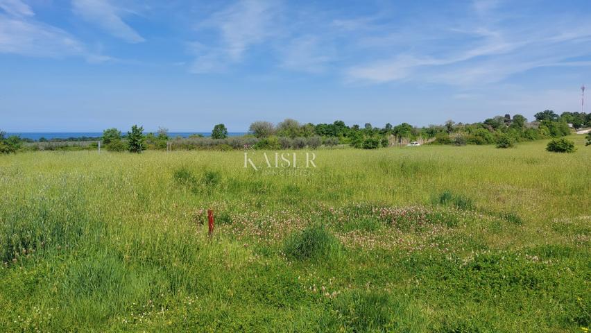 Istra, Poreč - građevinsko zemljište s otvorenim pogledom na more