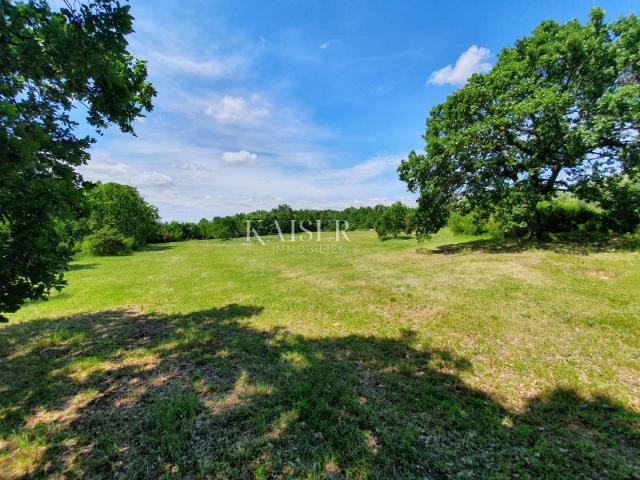 Building land Sveti Lovreč, 6.852m2