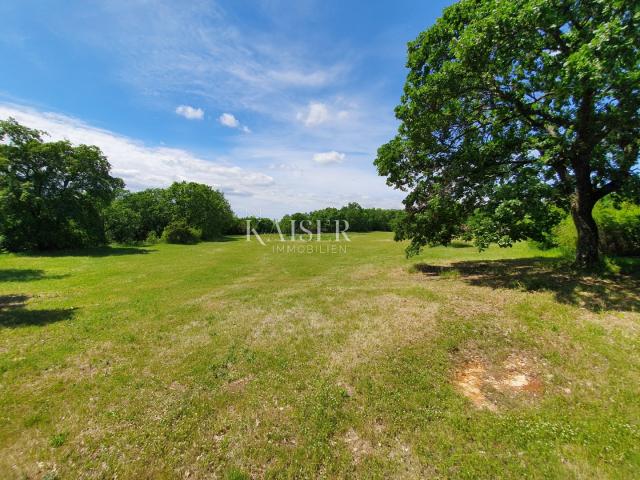 Building land Sveti Lovreč, 6.852m2