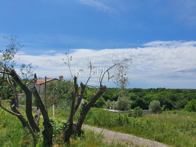 Bauland Sveti Lovreč, 871m2