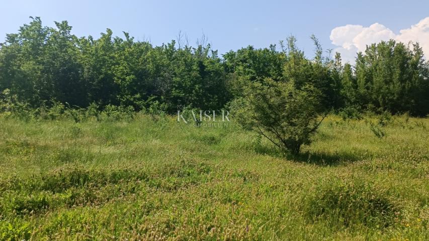 Istra - Barban - građevinsko zemljište s dozvolom, 1040 m2