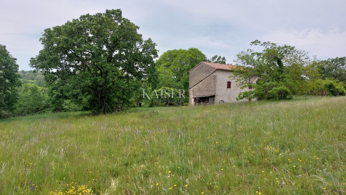 Istra - kamena stancija  90 000m2 u komadu