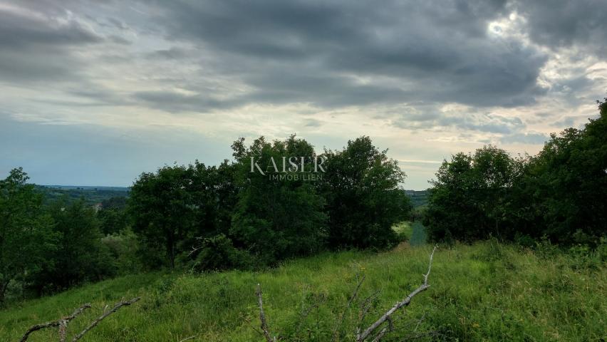 Istra - Grožnjan - građevinsko zemljište s prekrasnim pogledom