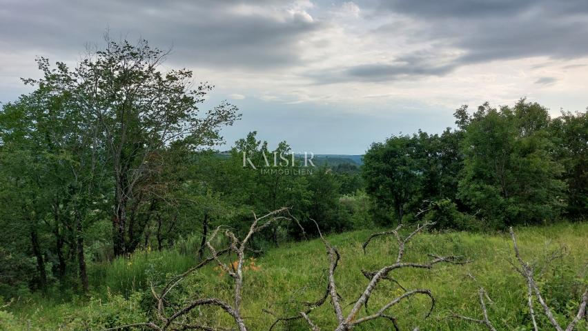 Istra - Grožnjan - građevinsko zemljište s prekrasnim pogledom