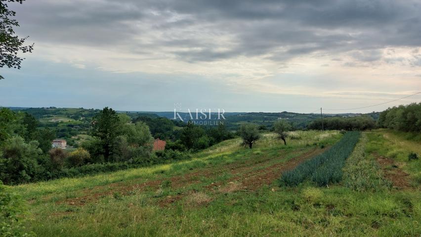 Istra - Grožnjan - građevinsko zemljište s prekrasnim pogledom