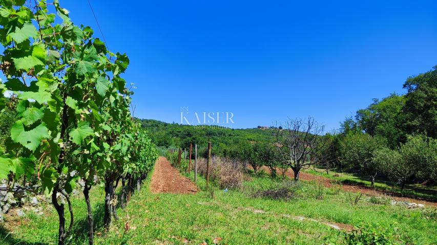 Labin - property with a house, 28,000