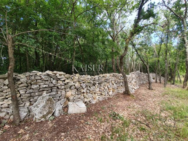 Istrien - Poreč, Agrarland in der touristischen Bauzone