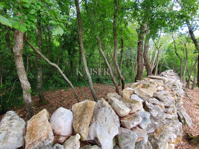 Istria - Poreč, agricultural land in the tourist construction zone