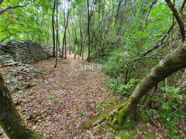 Istrien - Poreč, Agrarland in der touristischen Bauzone