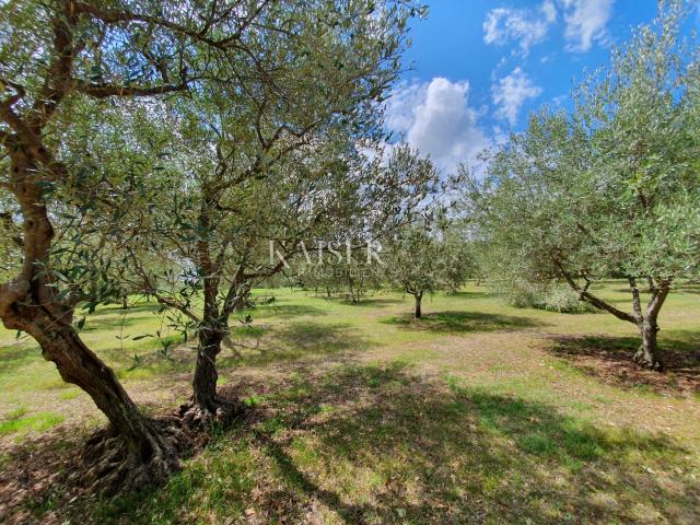 Istria - Poreč, agricultural land in the tourist construction zone