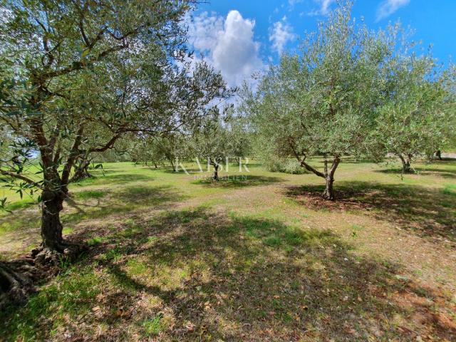 Istria - Poreč, agricultural land in the tourist construction zone