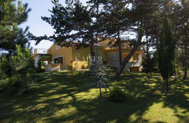 Istria, Pazin - unique property, 42000 m2