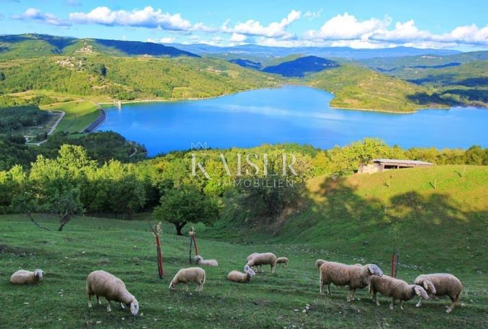 Istra - Pazin, poljoprivredno zemljište odličan pogled jezero Butoniga