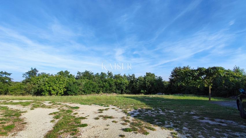 Marčana, Umgebung - Anwesen mit Haus und Baugrundstück, 20.000 m2