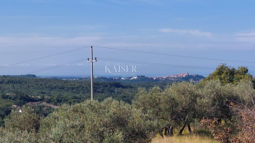 Istra, Momjan - vila s panoramskim pogledom na more i prirodu