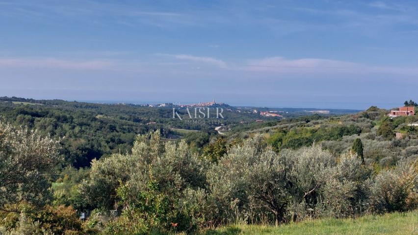 Istra, Momjan - vila s panoramskim pogledom na more i prirodu