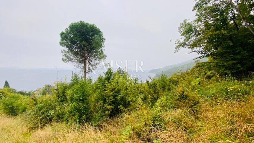 Medveja - građevinsko zemljište 2. red do mora 6000 m2