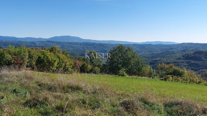 Istria, Motovun area, building plot with permission for a house